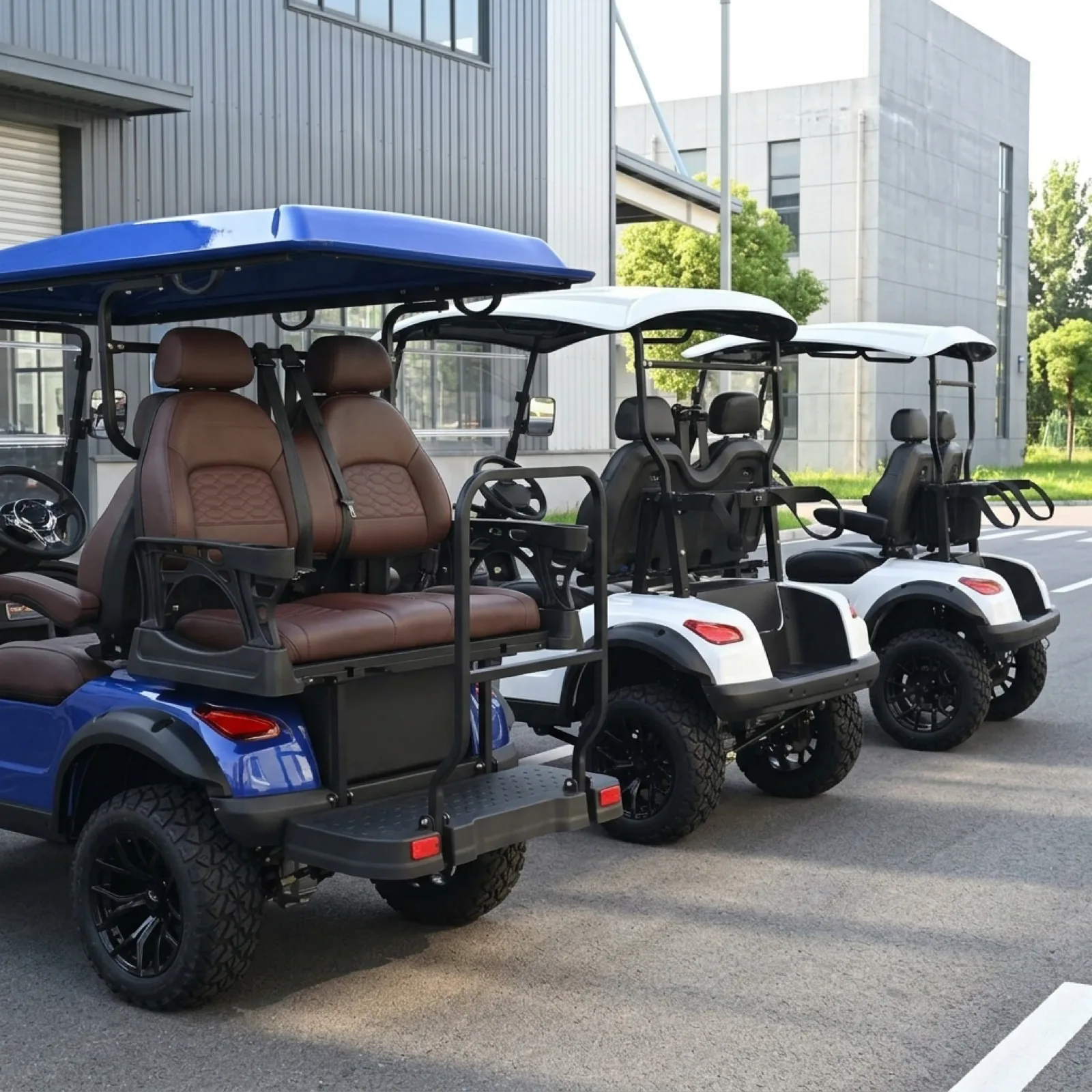Bee Motors USA lithium-powered electric golf cart models